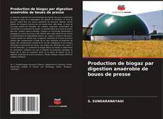 Buchcover von Production de biogaz par digestion anaérobie de boues de presse