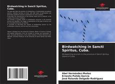 Bookcover of Birdwatching in Sancti Spíritus, Cuba.