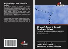 Copertina di Birdwatching a Sancti Spíritus, Cuba.