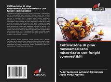 Copertina di Coltivazione di pino mesoamericano micorrizato con funghi commestibili