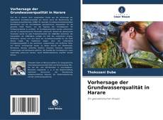 Portada del libro de Vorhersage der Grundwasserqualität in Harare