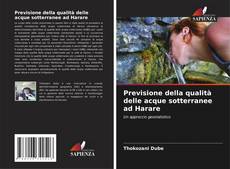 Capa do livro de Previsione della qualità delle acque sotterranee ad Harare 