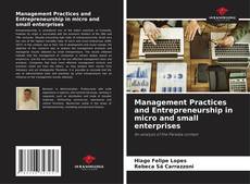 Capa do livro de Management Practices and Entrepreneurship in micro and small enterprises 