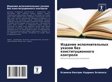 Buchcover von Издание исполнительных указов без конституционного контроля