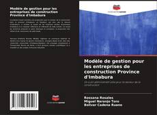 Modèle de gestion pour les entreprises de construction Province d'Imbabura kitap kapağı
