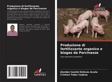 Copertina di Produzione di fertilizzante organico e biogas da Porcinasse