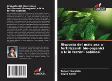 Capa do livro de Risposta del mais zea a fertilizzanti bio-organici e N in terreni sabbiosi 