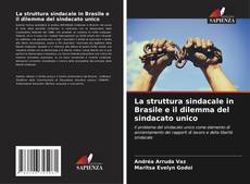 La struttura sindacale in Brasile e il dilemma del sindacato unico kitap kapağı