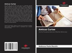 Bookcover of Amicus Curiae