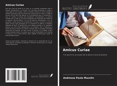 Amicus Curiae kitap kapağı