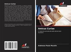 Buchcover von Amicus Curiae