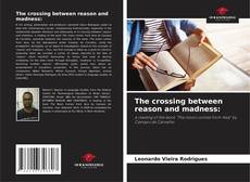 The crossing between reason and madness: kitap kapağı