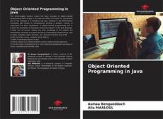 Couverture de Object Oriented Programming in Java