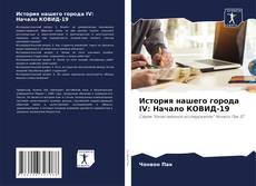 Bookcover of История нашего города IV: Начало КОВИД-19