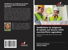 Bookcover of Soddisfare le esigenze di salute sul lavoro nello zuccherificio ugandese