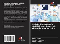 Bookcover of Solfato di magnesio e stabilità emodinamica in chirurgia laparoscopica