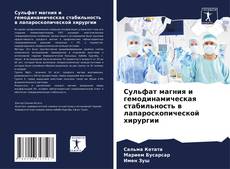 Bookcover of Сульфат магния и гемодинамическая стабильность в лапароскопической хирургии