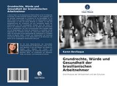 Обложка Grundrechte, Würde und Gesundheit der brasilianischen Arbeitnehmer