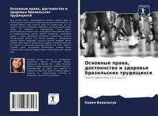 Bookcover of Основные права, достоинство и здоровье бразильских трудящихся