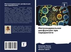 Bookcover of Митохондриальная дисфункция при пародонтите