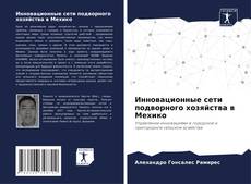 Bookcover of Инновационные сети подворного хозяйства в Мехико