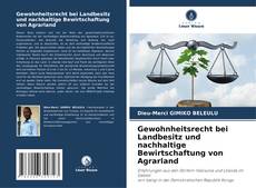 Portada del libro de Gewohnheitsrecht bei Landbesitz und nachhaltige Bewirtschaftung von Agrarland