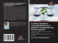 Il diritto fondiario consuetudinario e la gestione sostenibile dei terreni agricoli的封面