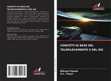 CONCETTI DI BASE DEL TELERILEVAMENTO E DEL GIS kitap kapağı