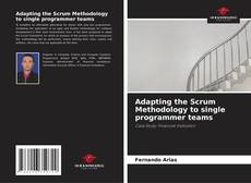 Bookcover of Adapting the Scrum Methodology to single programmer teams