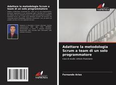 Copertina di Adattare la metodologia Scrum a team di un solo programmatore