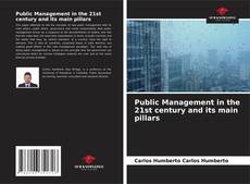 Capa do livro de Public Management in the 21st century and its main pillars 