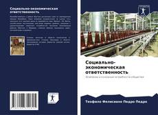 Buchcover von Социально-экономическая ответственность