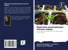 Bookcover of Практика размножения лесных пород