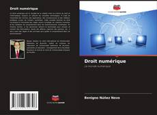 Buchcover von Droit numérique