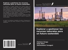 Bookcover of Explorar y gestionar los recursos naturales para un futuro sostenible