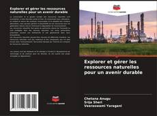 Capa do livro de Explorer et gérer les ressources naturelles pour un avenir durable 