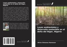 Leyes ambientales y desarrollo sostenible en el delta del Níger, Nigeria kitap kapağı