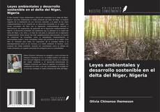 Copertina di Leyes ambientales y desarrollo sostenible en el delta del Níger, Nigeria