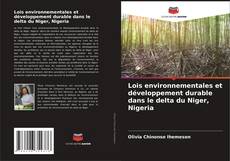 Обложка Lois environnementales et développement durable dans le delta du Niger, Nigeria