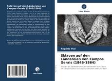 Sklaven auf den Ländereien von Campos Gerais (1846-1864) kitap kapağı