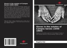 Portada del libro de Slaves in the estates of Campos Gerais (1846-1864)