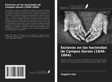 Bookcover of Esclavos en las haciendas de Campos Gerais (1846-1864)