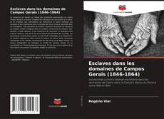 Capa do livro de Esclaves dans les domaines de Campos Gerais (1846-1864) 