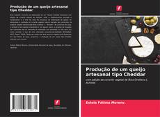 Bookcover of Produção de um queijo artesanal tipo Cheddar