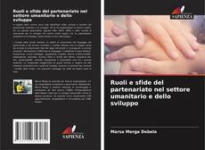Copertina di Ruoli e sfide del partenariato nel settore umanitario e dello sviluppo