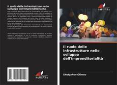 Bookcover of Il ruolo delle infrastrutture nello sviluppo dell'imprenditorialità