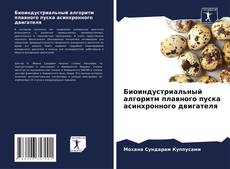 Bookcover of Биоиндустриальный алгоритм плавного пуска асинхронного двигателя