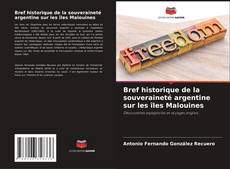 Copertina di Bref historique de la souveraineté argentine sur les îles Malouines