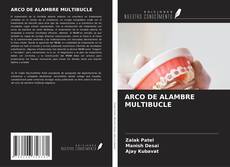 Buchcover von ARCO DE ALAMBRE MULTIBUCLE
