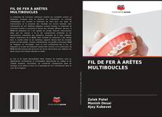 Copertina di FIL DE FER À ARÊTES MULTIBOUCLES